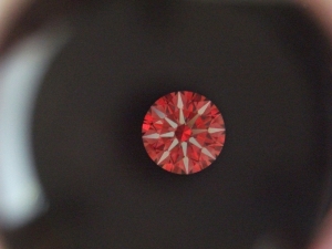 dscf6131.jpg