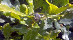2012-07-26_10-18-04_656.jpg 2012-07-26_10-18-04_656.jpg