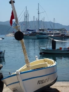 475.jpg