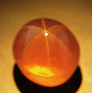 srq1562-b1.jpg