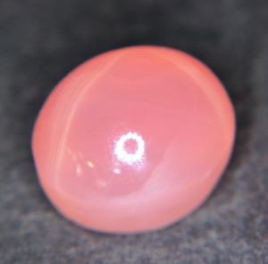 srq1562-nostar.jpg