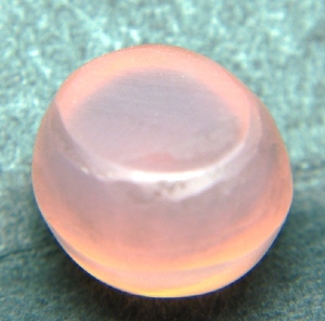 srq1562-back.jpg
