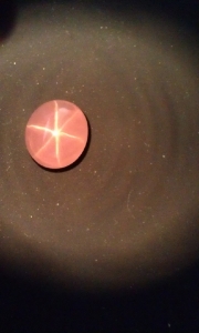 imag0441.jpg
