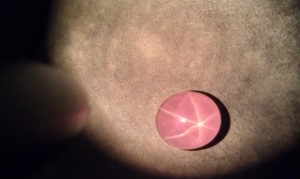imag0460.jpg
