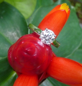 p1100720__cropped_.jpg