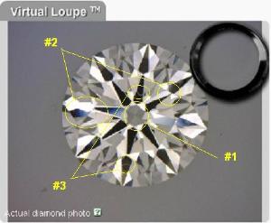 edit1516567scope.jpg