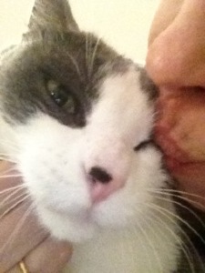 mittkiss.jpg