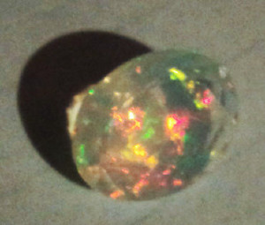 copia_de_dsc01956.jpg