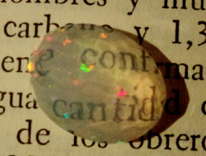 copia_de_dsc01978.jpg
