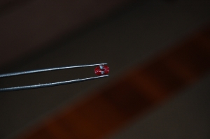 dsc_0366.jpg