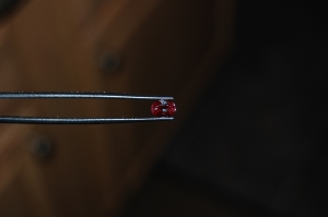 dsc_0394.jpg