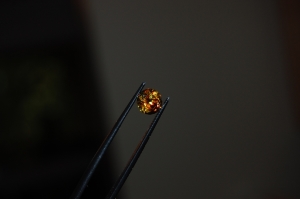 dsc_0403.jpg