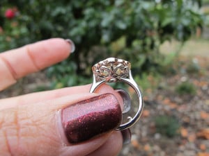 img2880-m.jpg