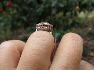 img2877-m_0.jpg