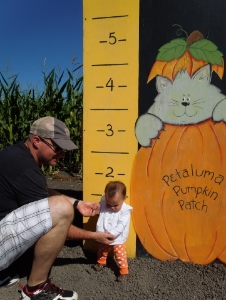 pumpkin_patch_height.jpg