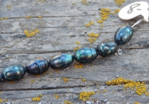 pb050066__800x563_.jpg
