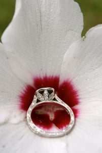 img_0382_0.jpg