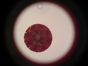 2012-11-26_16.jpg 2012-11-26_16.jpg