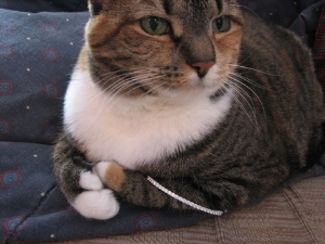 IMG4449.jpg