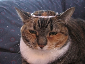 IMG4417.jpg
