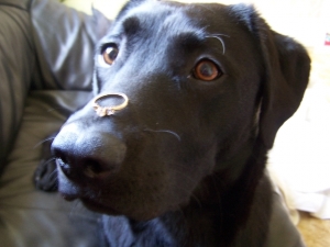 100_5560.jpg