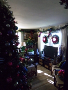 christmas12_027.jpg