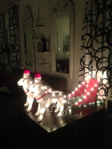 xmas-huskies.jpg