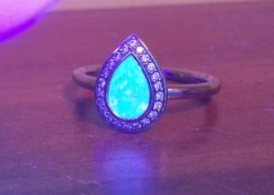 20121215_134023.jpg