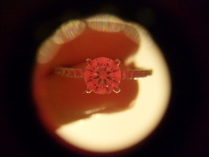 s6301132.jpg