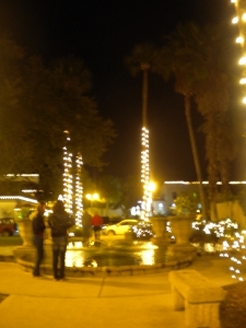 dscn0090.jpg