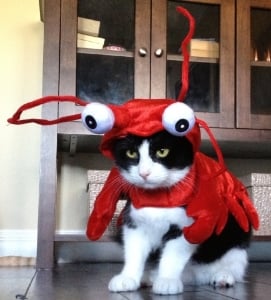 monster_lobster.jpg