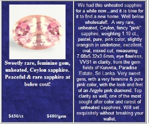 websitedescription.jpg