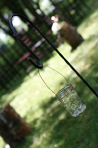 img_2693small.jpg