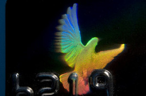 hologram_dove.jpg hologram_dove.jpg