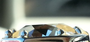 cropped3.jpg