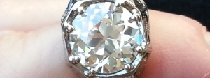 cropped4.jpg