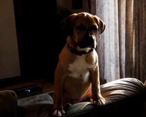 img_2977_copy_2.png