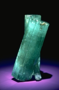 dms122500709.jpg