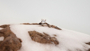 ring_81.jpg