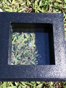 acaiphone.jpg