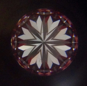 image__12_.jpg