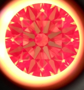 image__14_.jpg