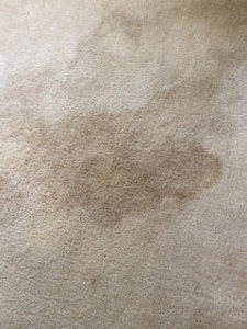 stain.jpg