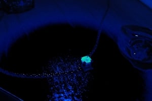 fluorescence.jpg