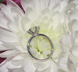lockes%20flower%205.jpg