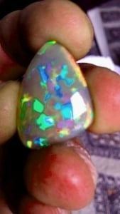 5-15-13_opal_0.jpg