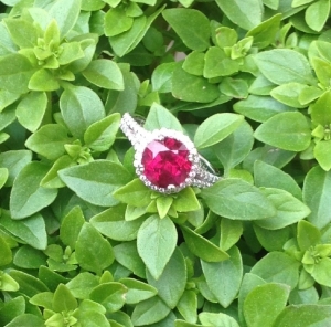 image_436.jpg image_436.jpg