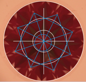 photo-1_1.png