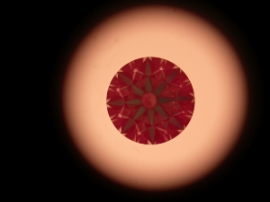 idealscope_14.jpg