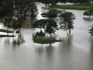 golfrain2.jpg